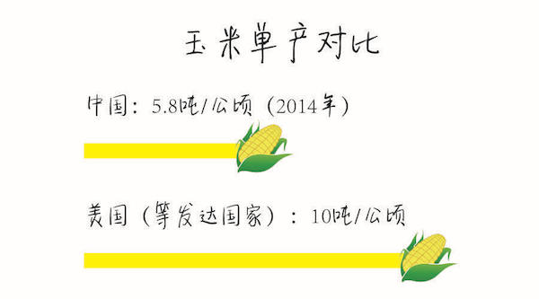 阿里副总裁涂子沛：总理担心的“玉米”，大数据可以拯救吗-图片2