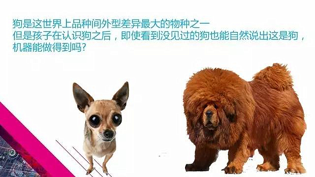 大数据,大咖观点