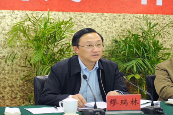 全国人大代表、中共南京市委副书记、市长缪瑞林