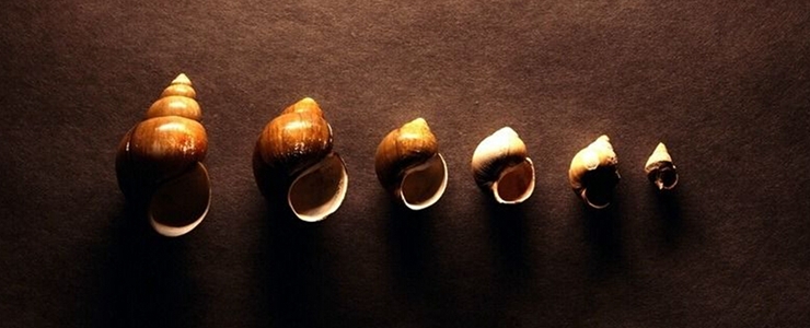 BroadLink 融资 系统化平台 人工智能