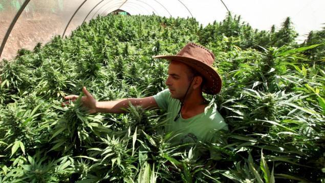 大数据,电子商务,医疗健康