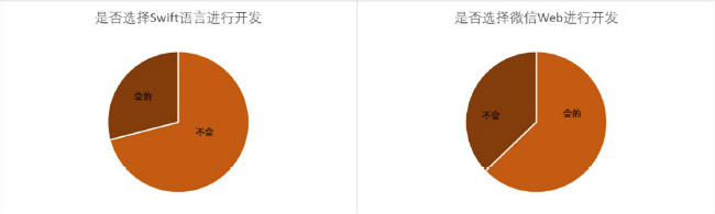 程序员；报告；大数据工程师