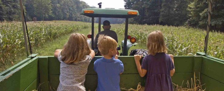 大数据；农业；精准农业