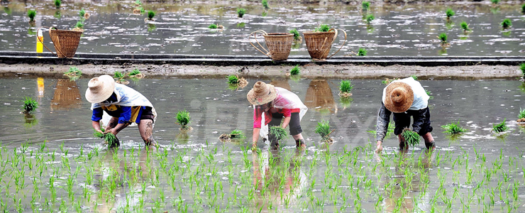 四川,脱贫攻坚,大数据,平台