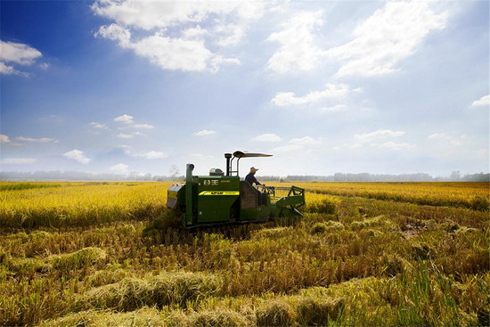 大数据,美国,农业