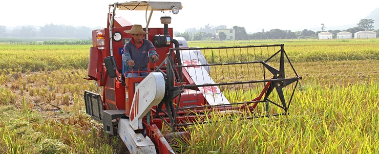 粮食安全,食品安全,大数据,监管,农业