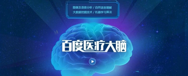 大脑.jpg