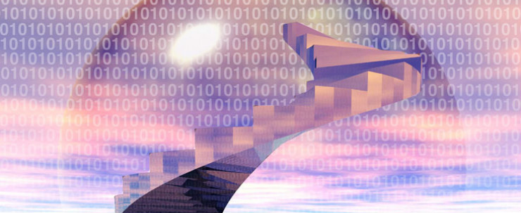 淘宝；大数据发展；大数据平台