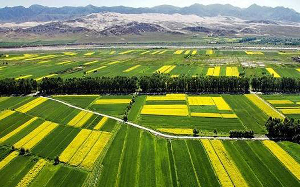 未来三年,中国农业即将步入大数据时代