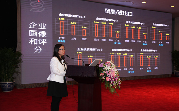 上海画龙信息科技有限公司CEO宋碧莲发表演讲