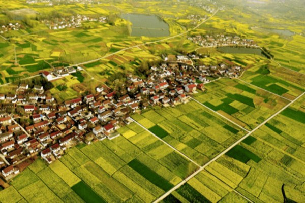 中国首个农村大数据应用平台公司正式成立