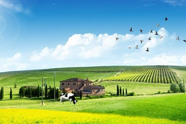 黑龙江打造“大数据+现代农业”发展新模式