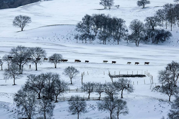 树根互联技术有限公司产品及项目介绍