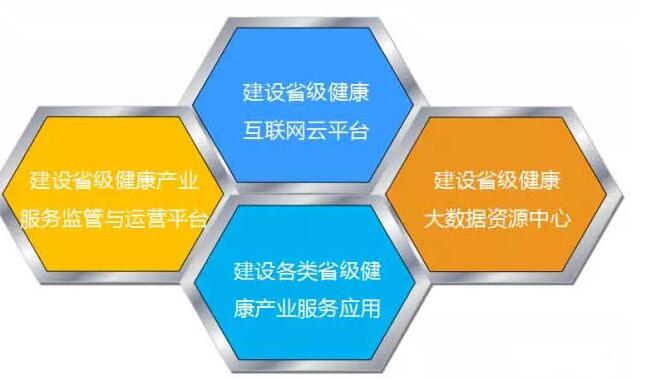 省市健康大数据资源中心规划方案(ppt)