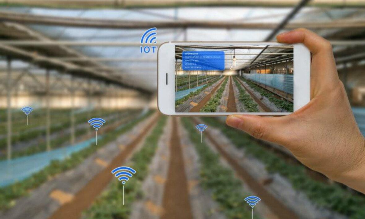 贵州为农业植入大数据“基因”，助推脱贫攻坚