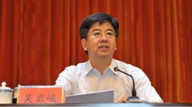 三亚市委副书记、市长吴岩峻吴岩峻：把农业生产和旅游市场有效对接 借助大数据实现农民精准增收