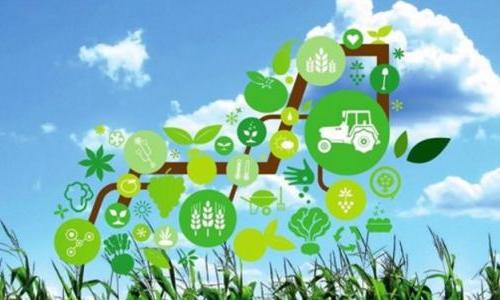 温州首家大数据农业实体店开张