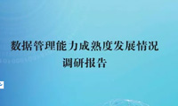 报告 | 数据管理能力成熟度发展情况调研报告