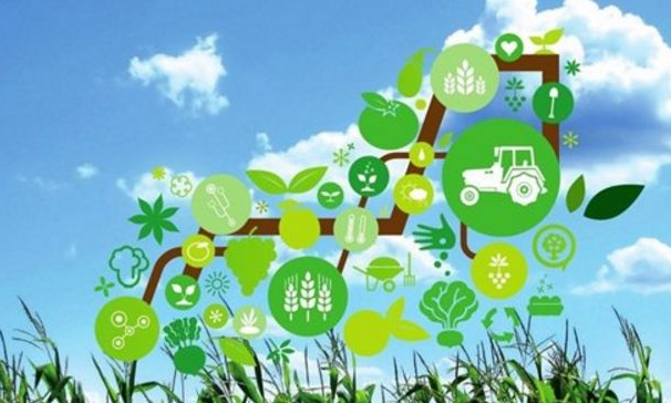 农产品产销脱节怎么破？看渝企的大数据利器