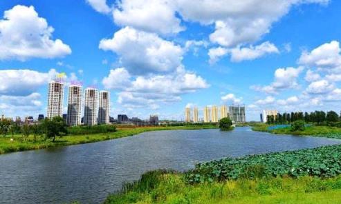 2019年CIO应该把钱花在哪里？这个调查告诉你