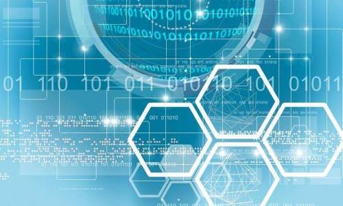 杨冰之：优化营商环境 赋能数字经济