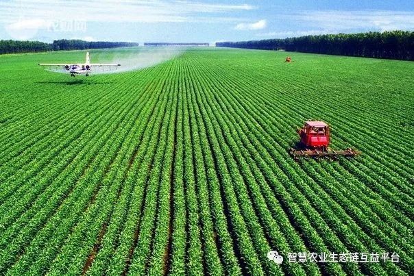 贵阳采取三大举措促进农村数字经济发展