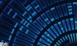 2019西安数字经济产业博览会召开