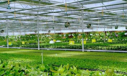 揭秘成都“农业硅谷”：大数据通知如何施肥