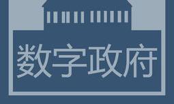山东数字政府这一年 从19项证明到1张身份证