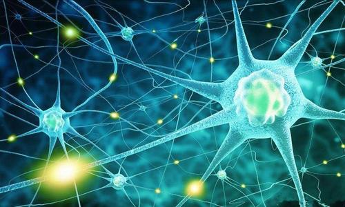 立白陈泽滨：数字化转型铺就抗疫之路