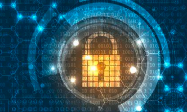 大力推进数字化转型智能化升级