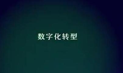 洪涛：用数字化促进诚信体系建设