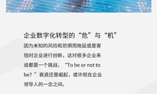崔晓波：数字化转型新阶段，数据服务商的“势”与“能”