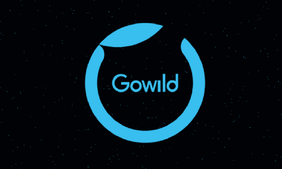 致力推动“人工智能虚拟生命”大战略,Gowild完成1.5亿元A+轮融资