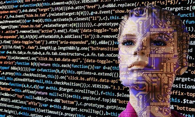 算法之外：人工智能和机器学习对组织的影响